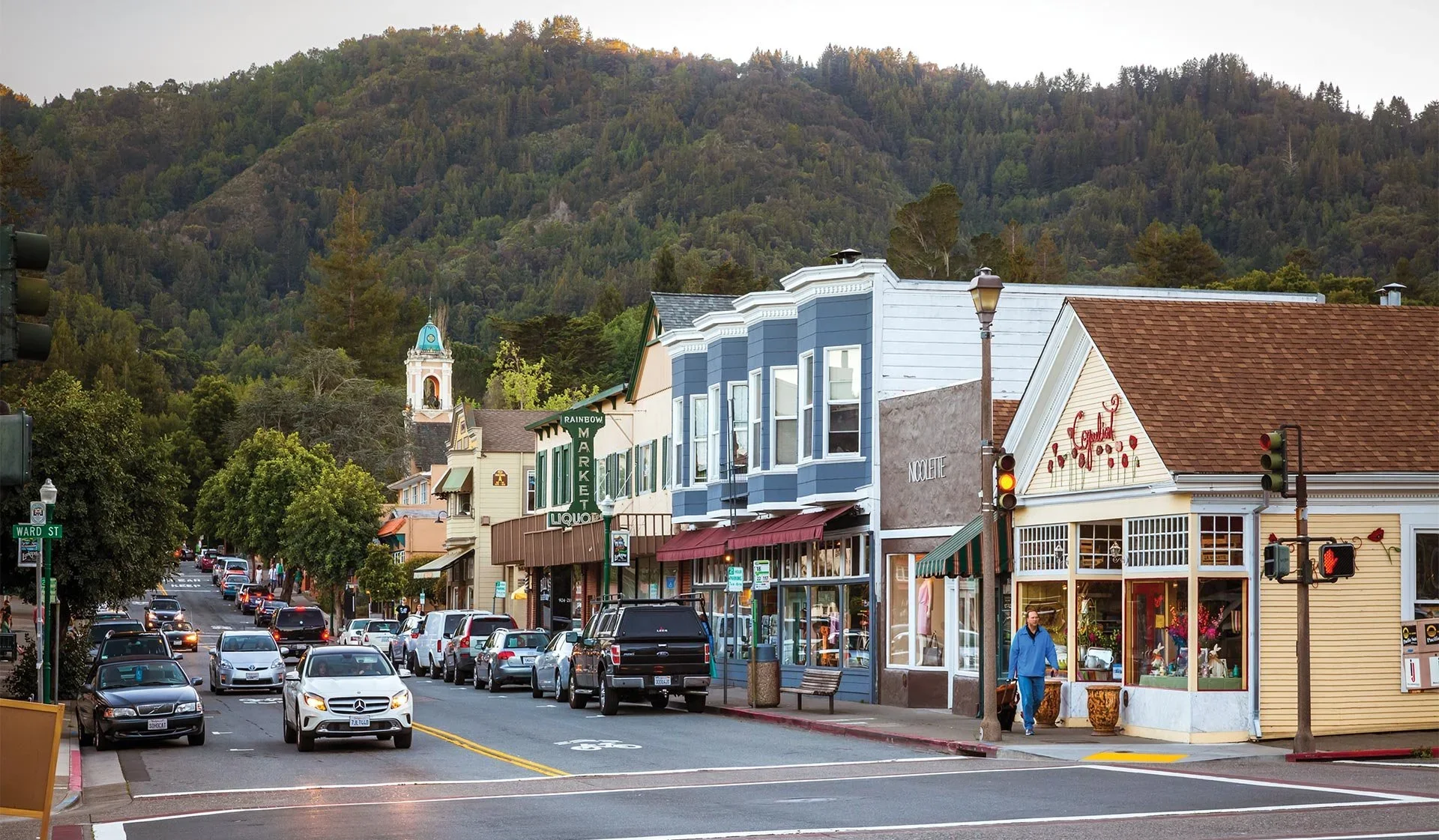 Marin County | Interior Designer | Studio SQUIRE | Marin and SF Bay Area | Downtown Larkspur