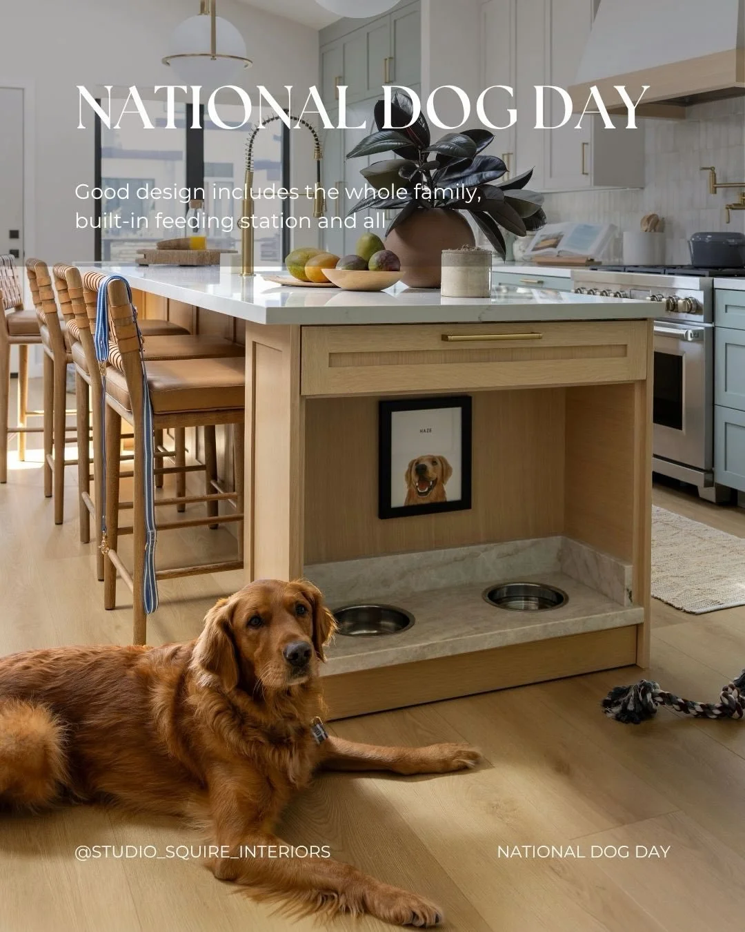 Happy National Dog Day from our four-legged clients.

Good design should work for every member of the household, not just the ones who pay the invoice. That means built-in feeding stations instead of bowls in the middle of the floor, and a home that 