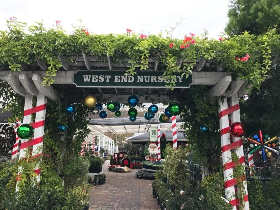Studio SQUIRE | Interior Design | Marin and SF Bay Area | San Rafael, CA | West End Nursery