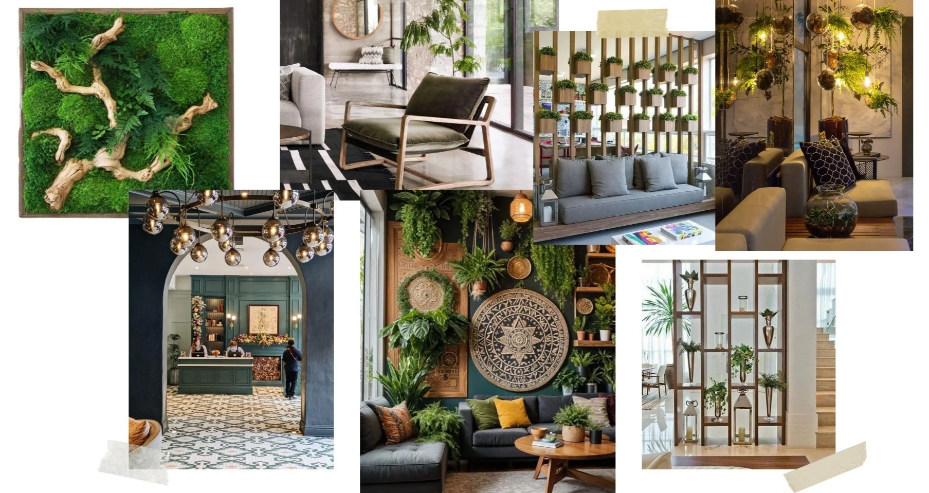Commercial wine bar inspiration board in Belvedere-Tiburon designed by Marin interior designer Studio SQUIRE featuring Greenery, Upholstered Seating, Wood Shelving, and Accent Lighting