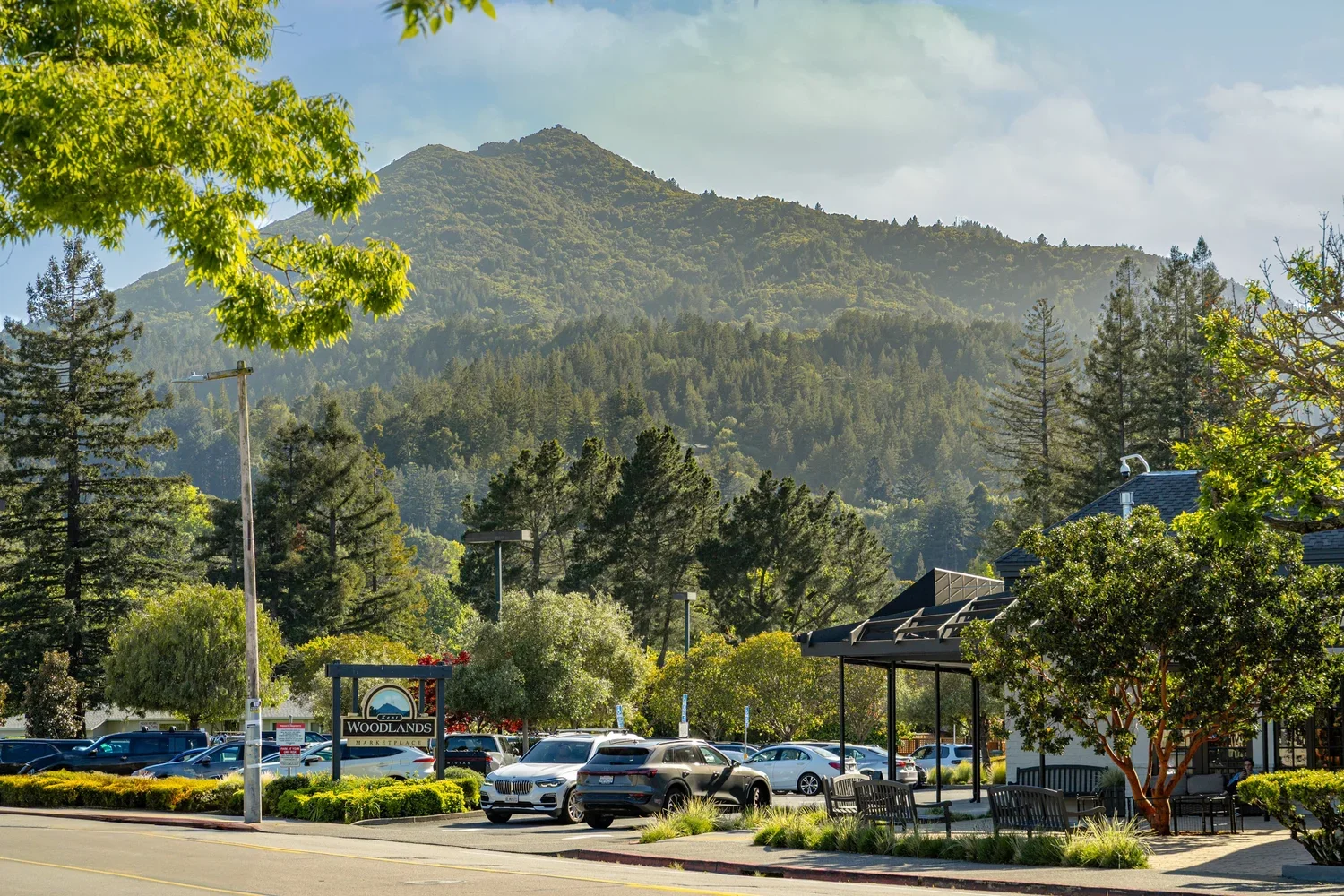 Studio SQUIRE | Interior Design | Marin and SF Bay Area | Downtown Kentfield