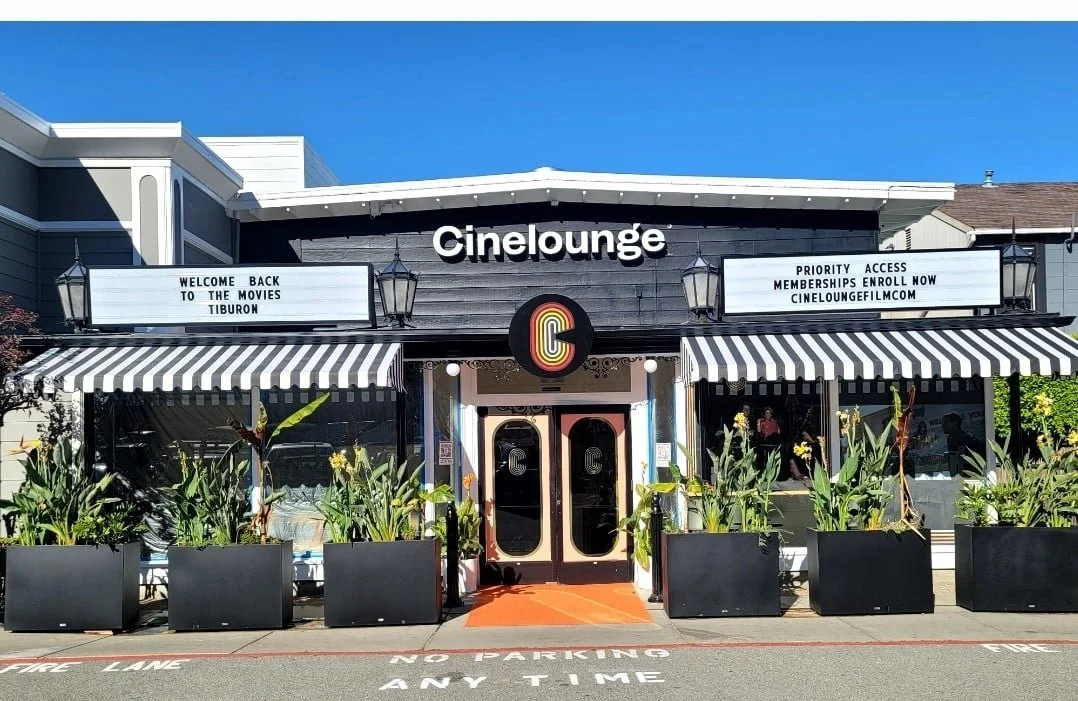 Studio SQUIRE | Interior Design | Marin and SF Bay Area | Tiburon, CA | Cinelounge