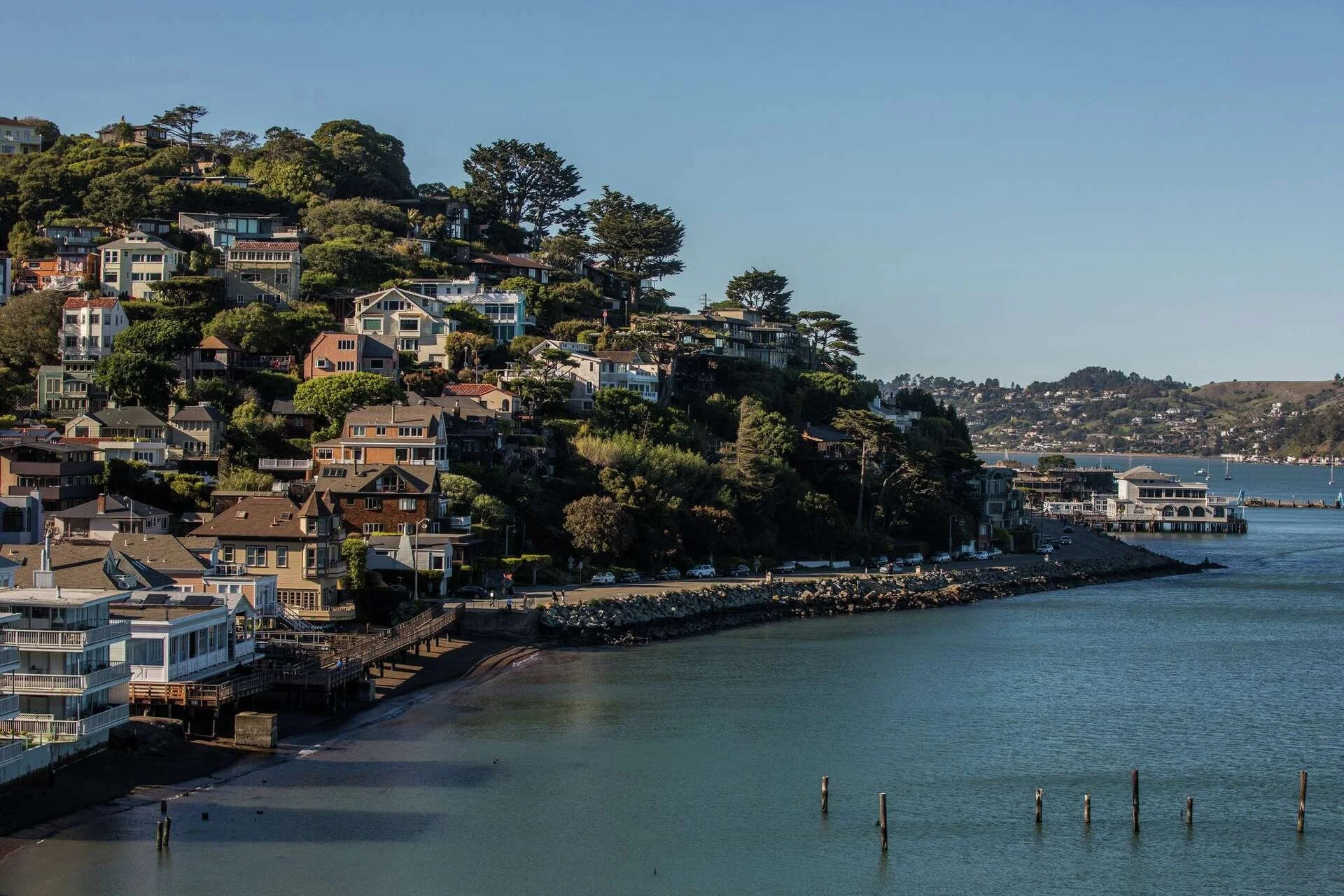 Studio SQUIRE | Interior Design | Marin and SF Bay Area | Marin County