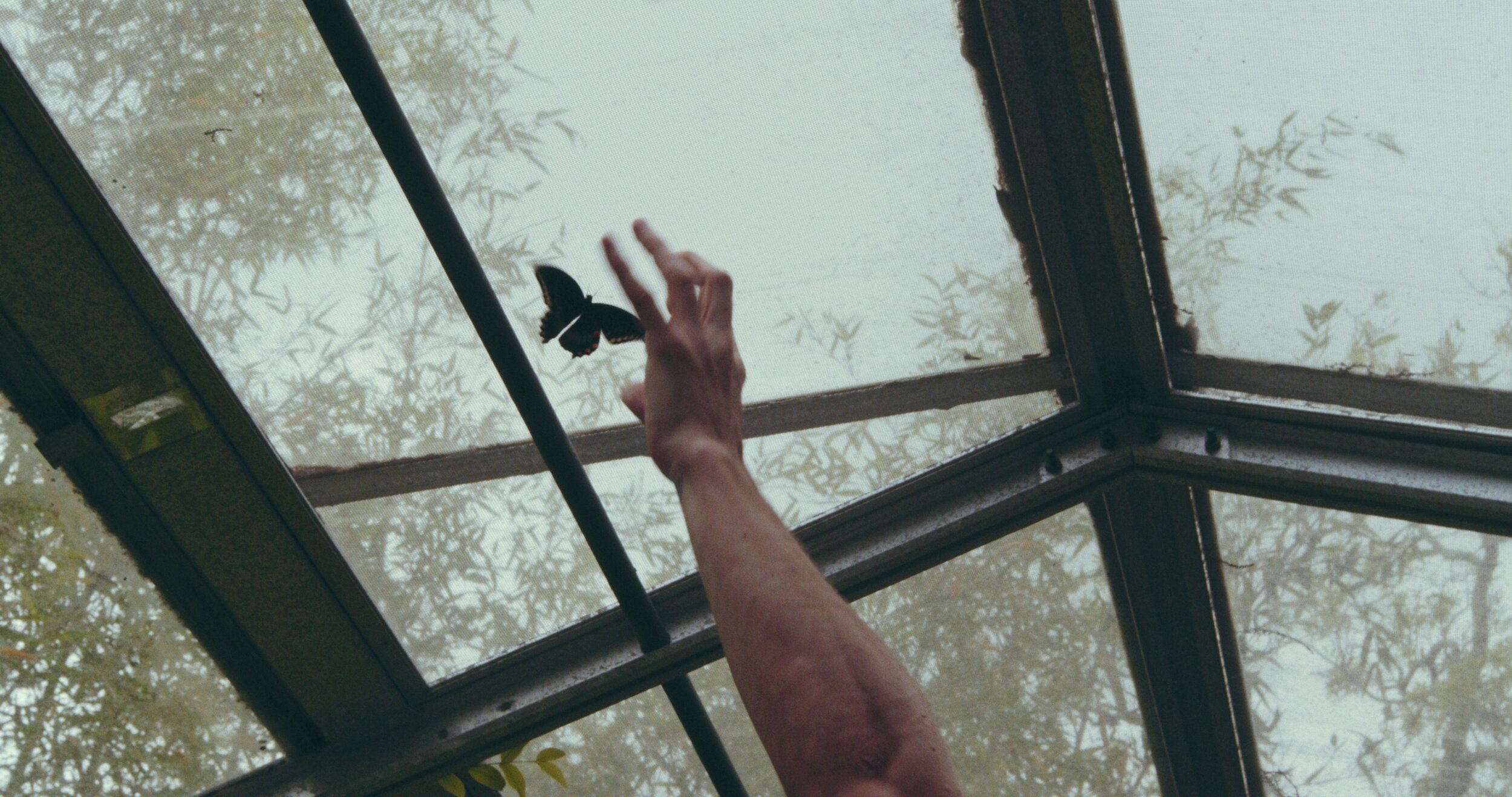 Remain In Light_Loupe Theory_Red Camera_Video Production Still_4K_16.JPG