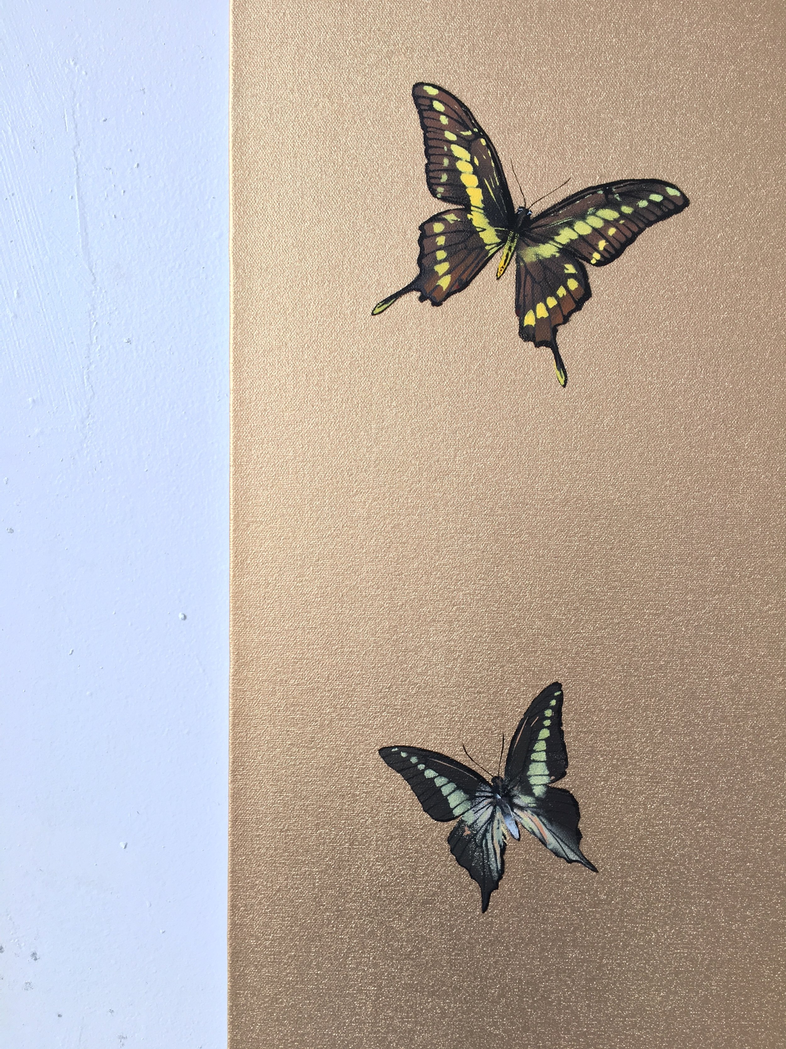 JOSEPH-KONERT-MORPHO-12.jpeg