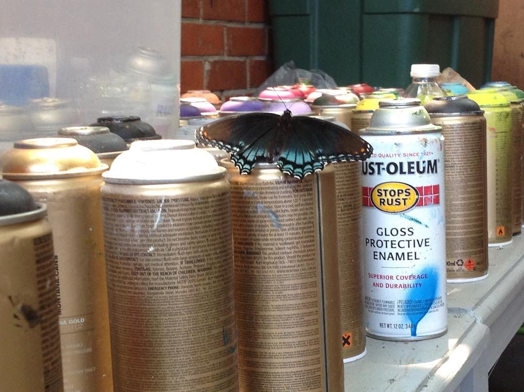 joseph-konert-photography-shadow-morpho-moth-butterfly-rustoleum-paint-montana-spray-paint-blue-black-green-red-new-orleans-louisiana.jpeg