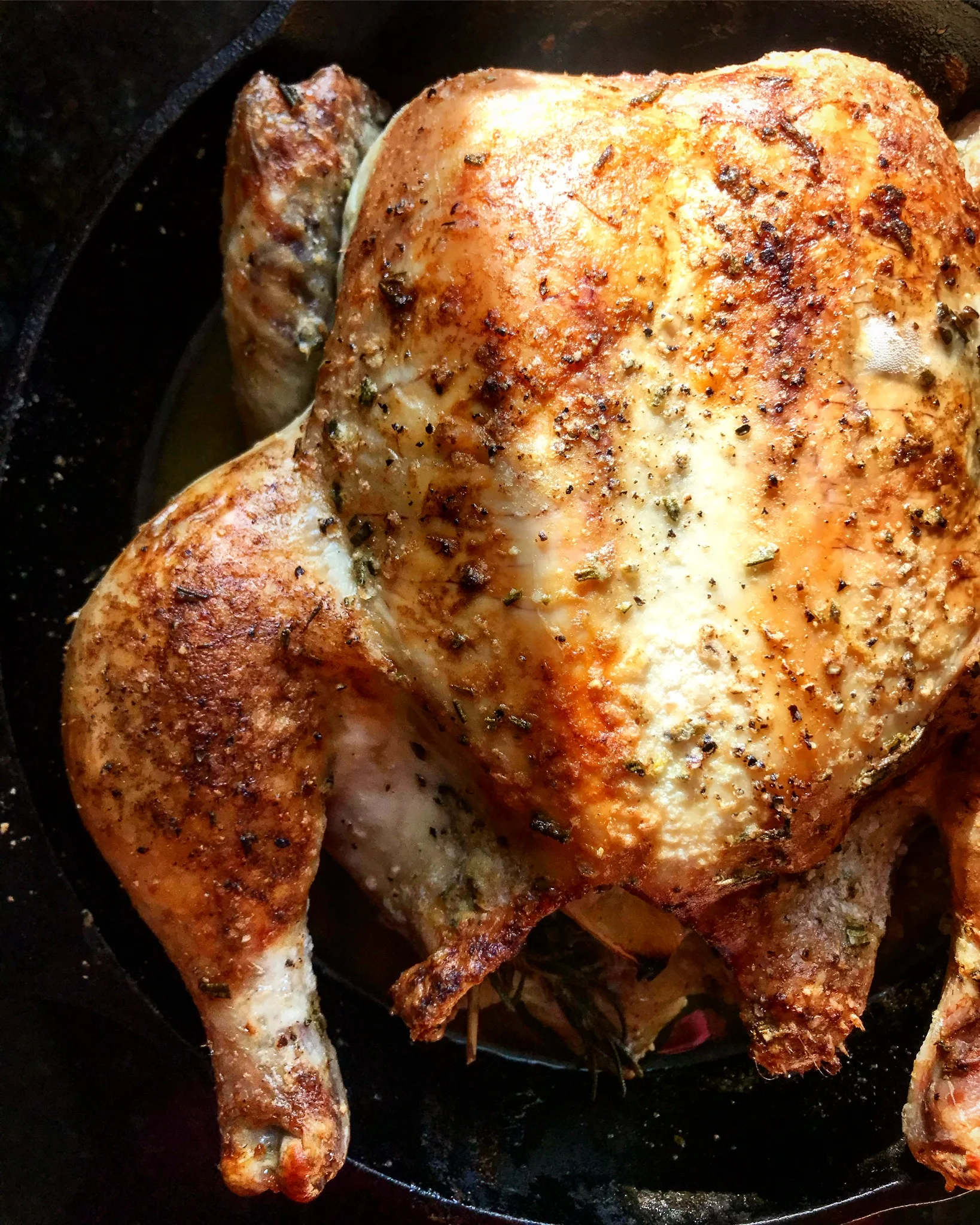 Simple Roasted Chicken & Stock