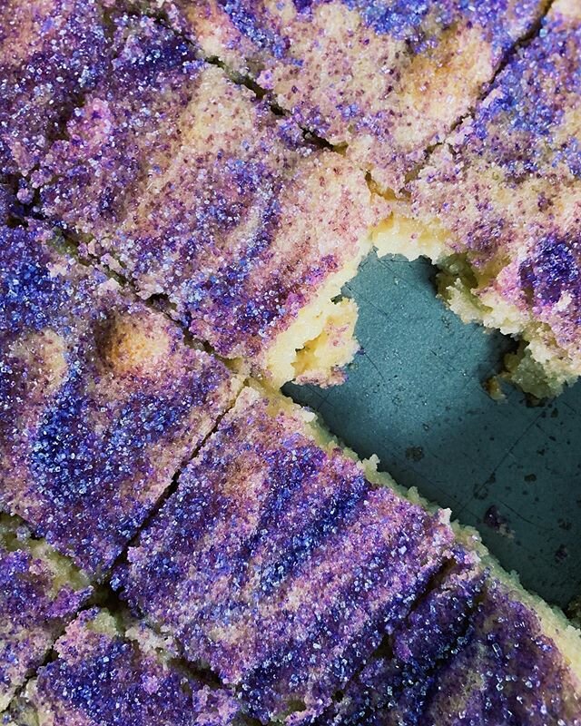 morning sprinkles 🥳&mdash; Greta&rsquo;s sugar cookie squares via @christinatosi&rsquo;s mom &amp; her brilliant daily bake club #thatgoodgooey #YUM #bakeclub #cakeforbreakfast #celebratingnothingandeverything