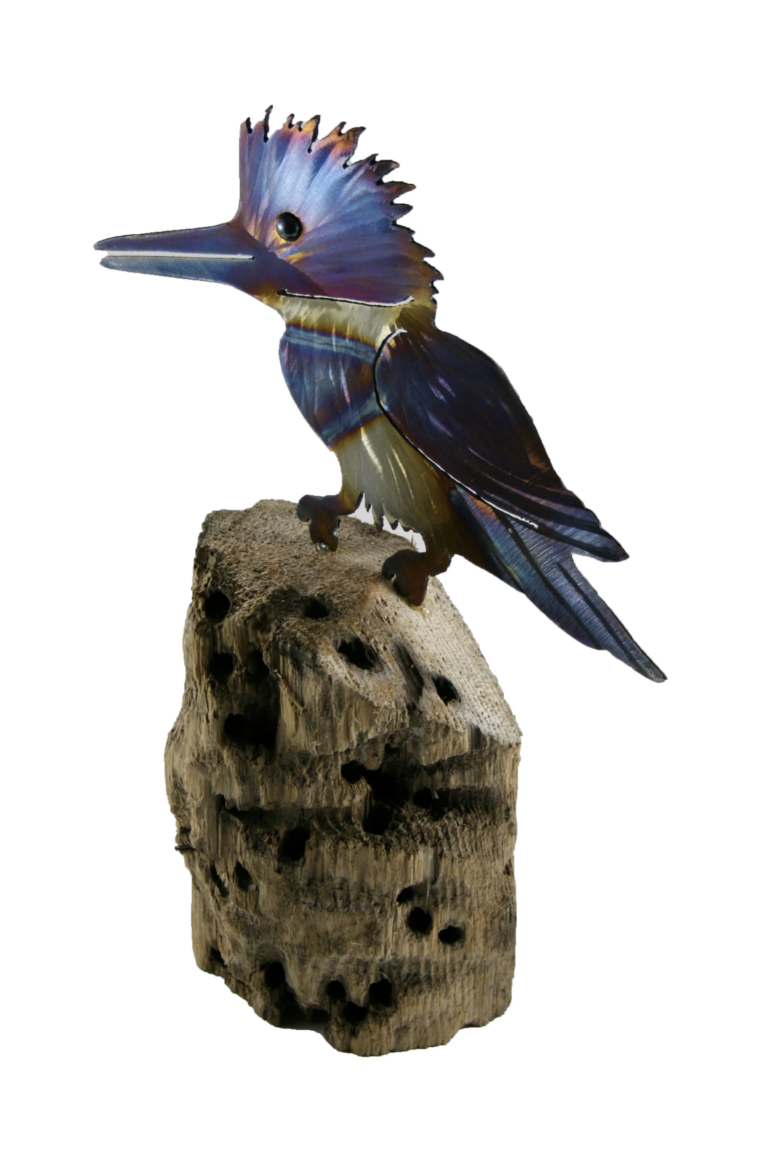 kingfisher 2 kevin mckenzie.jpg