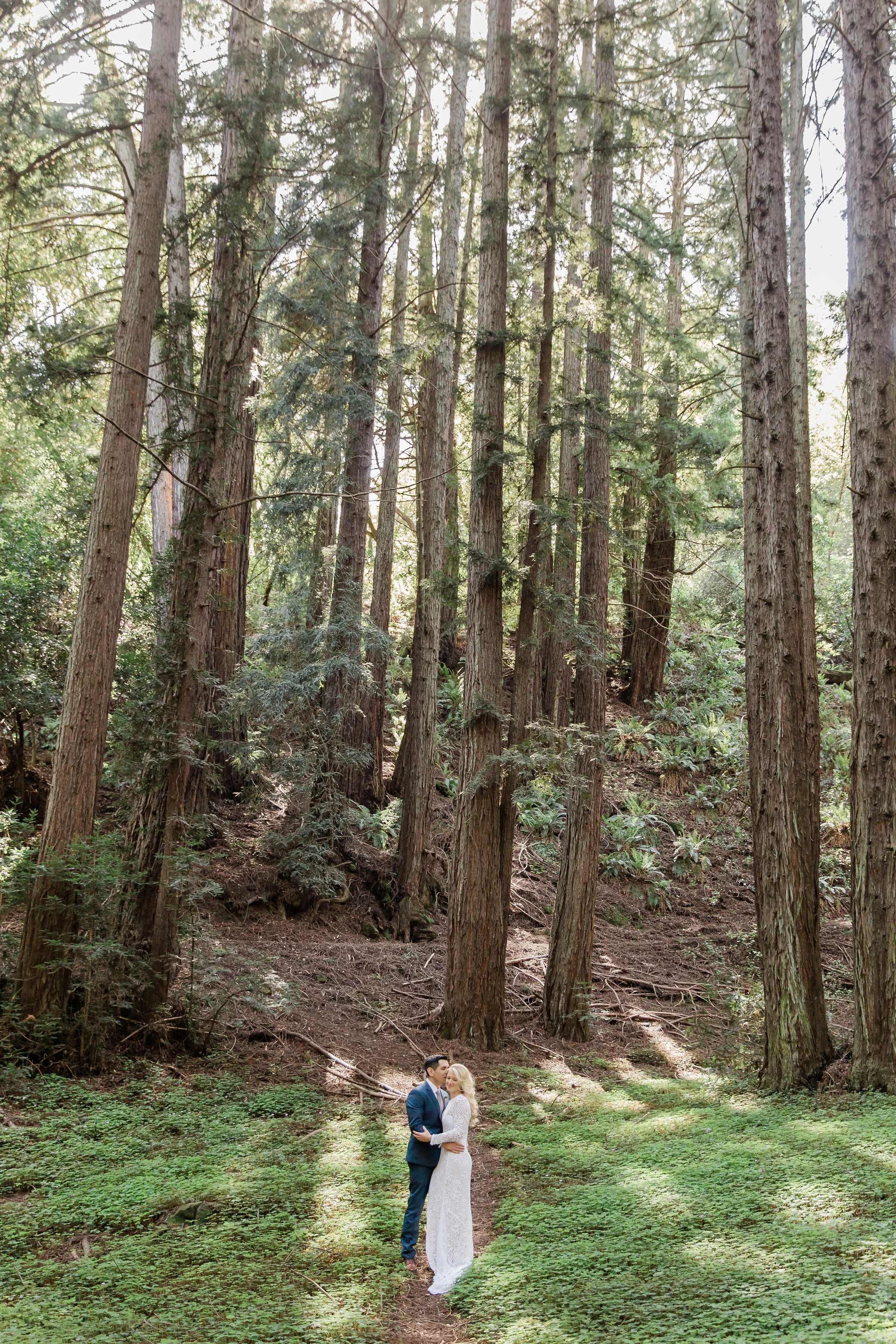 bride and groom posing in redwoods