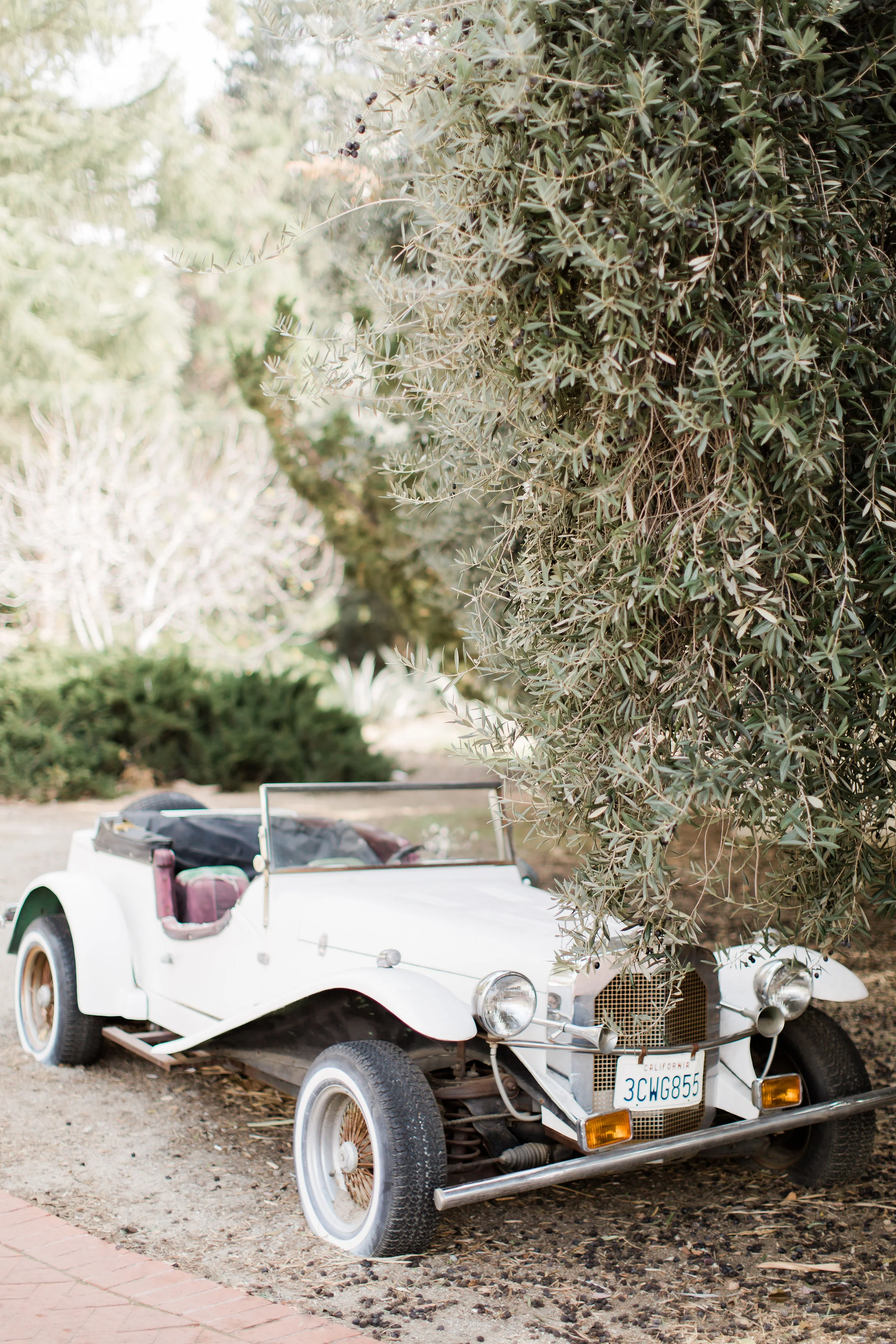 Highland Springs Vintage Car