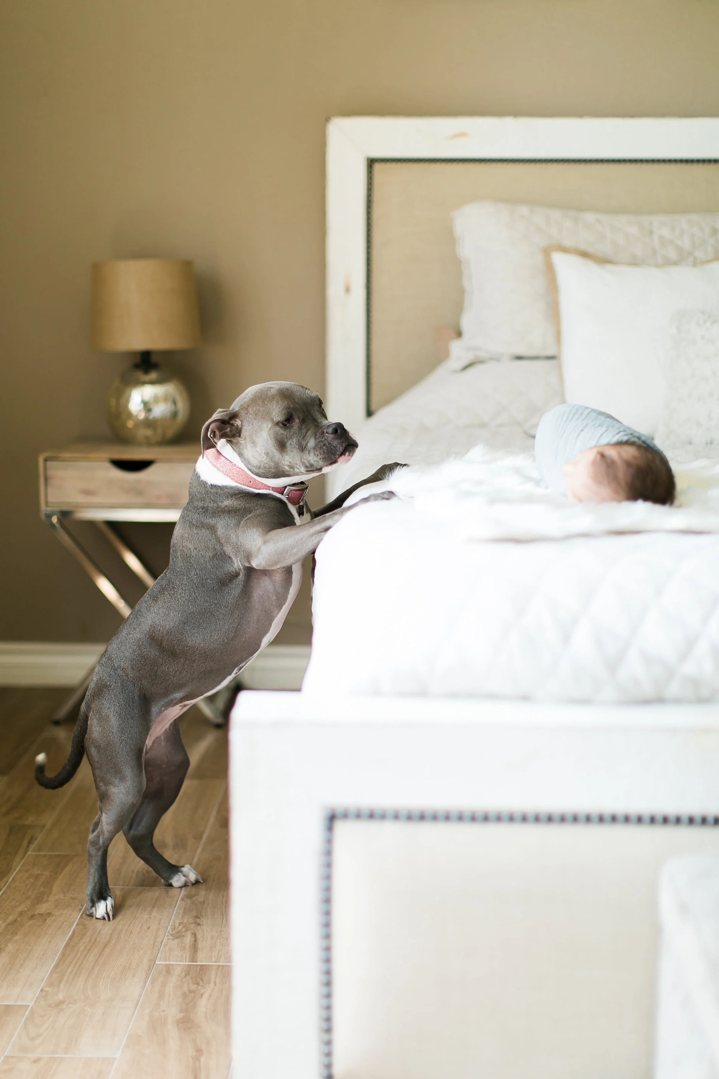 Kane-Newborn-Taylor-Kinzie-Photography-104.jpg