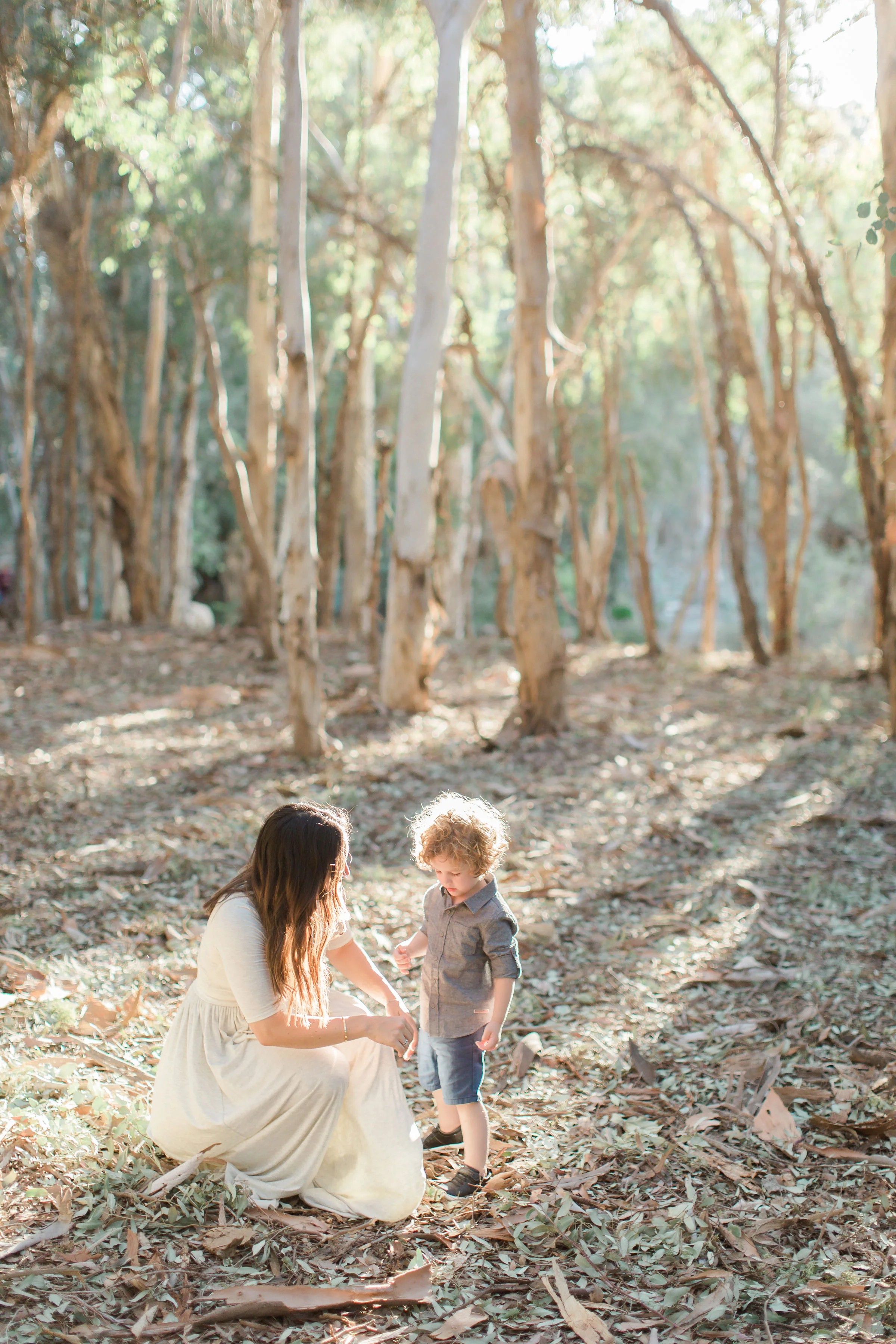 DimmerlingFamily2018_Taylor-Kinzie-Photography-57.jpg