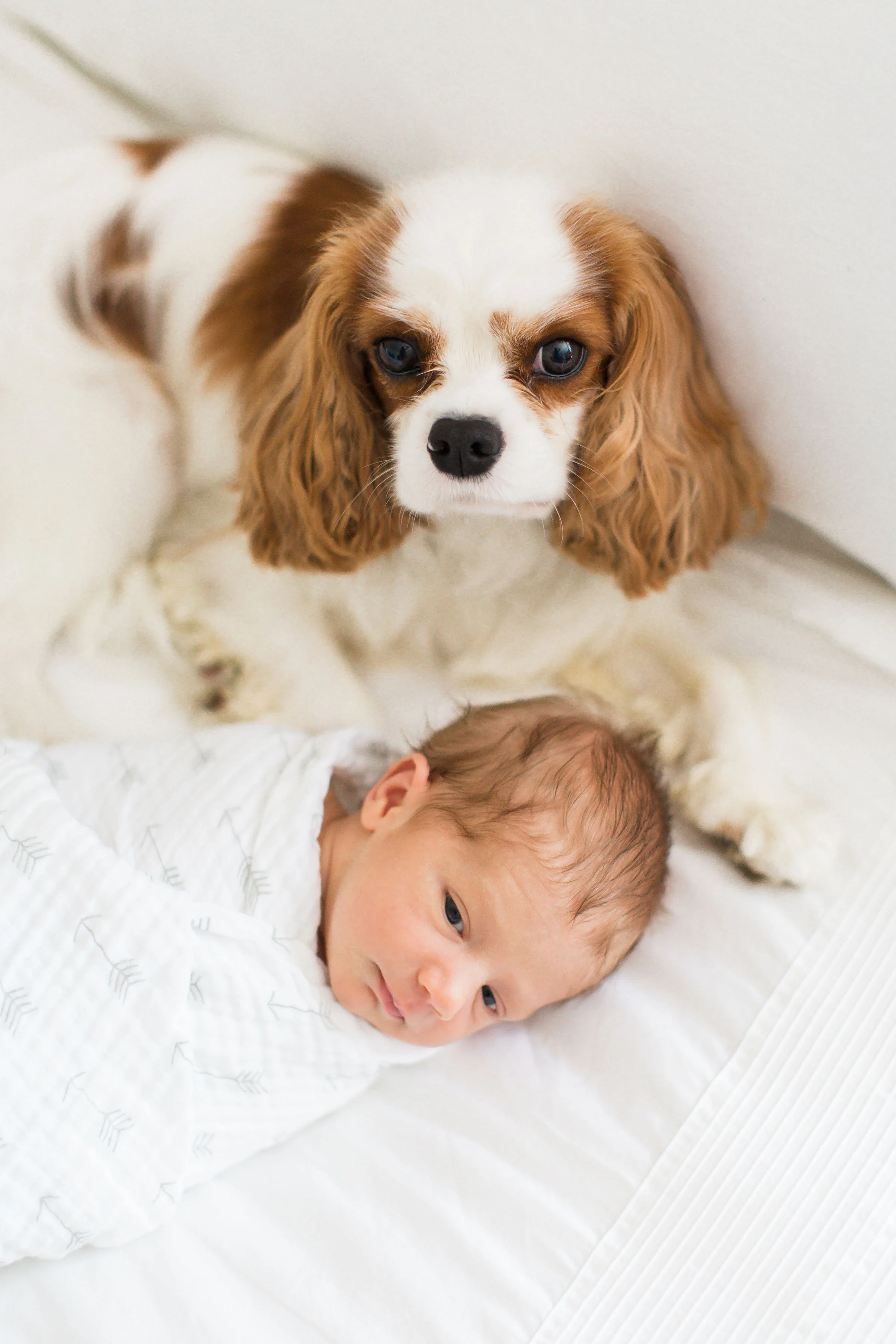 MaggieJackson_Newborn_TaylorKinziePhotography-38.jpg