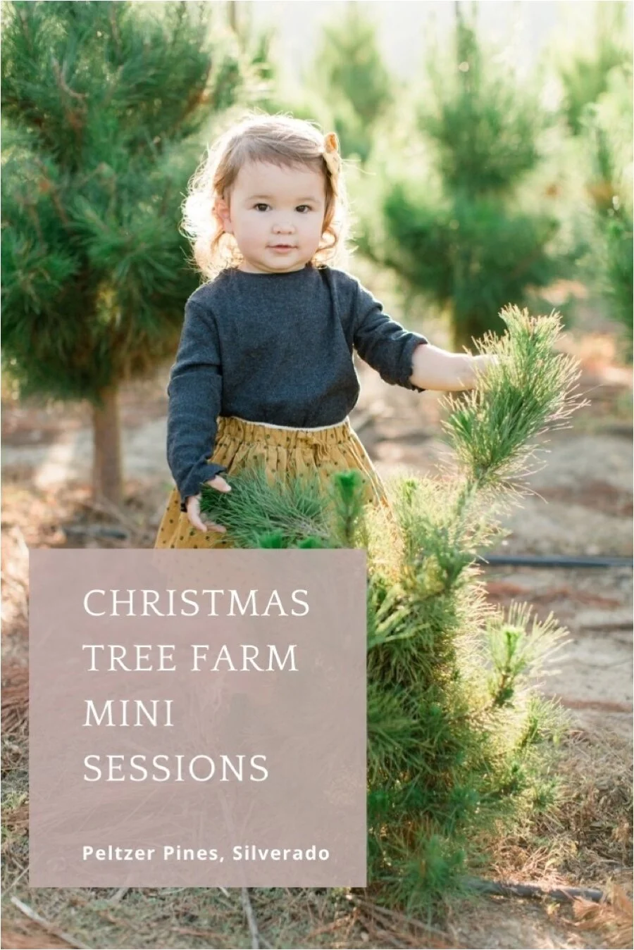 2020 Holiday Mini Sessions — Taylor Kinzie Photography