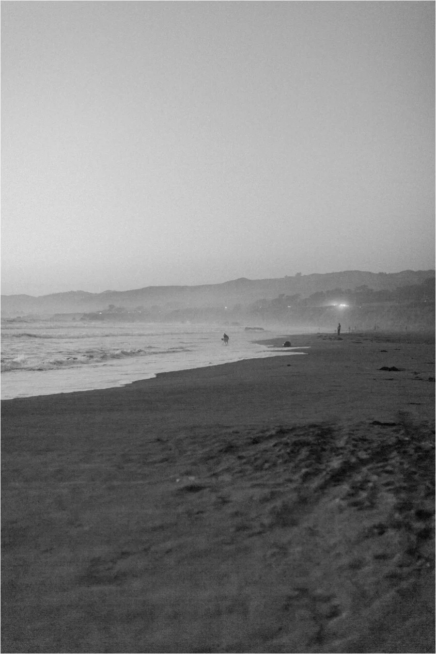 Angela and Alex Bodega Bay Engagement Session — Taylor Kinzie Photography