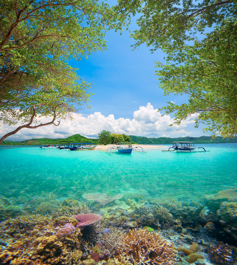 DEVAYALIFE LOMBOK