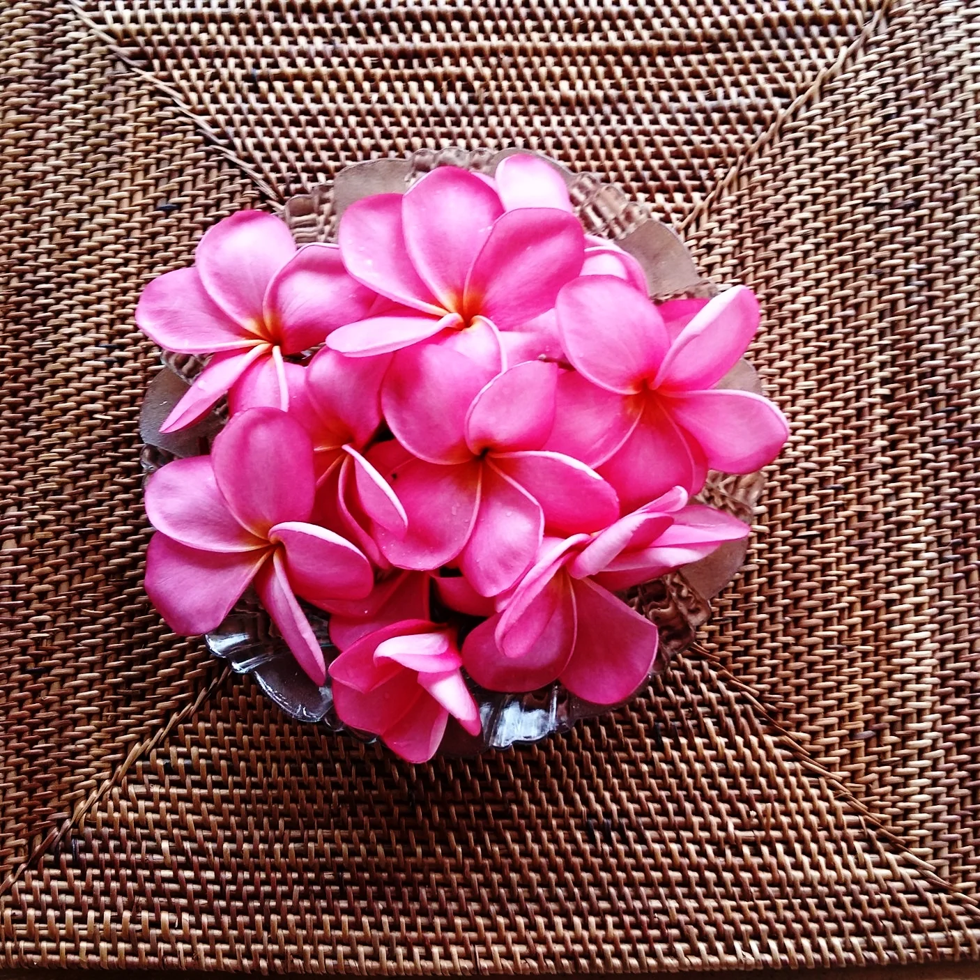 DEVAYALIFE FLOWER