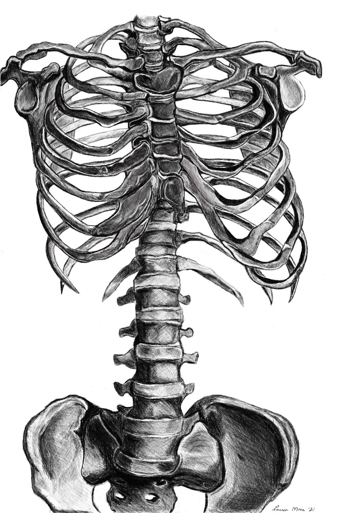 Skeleton.jpg