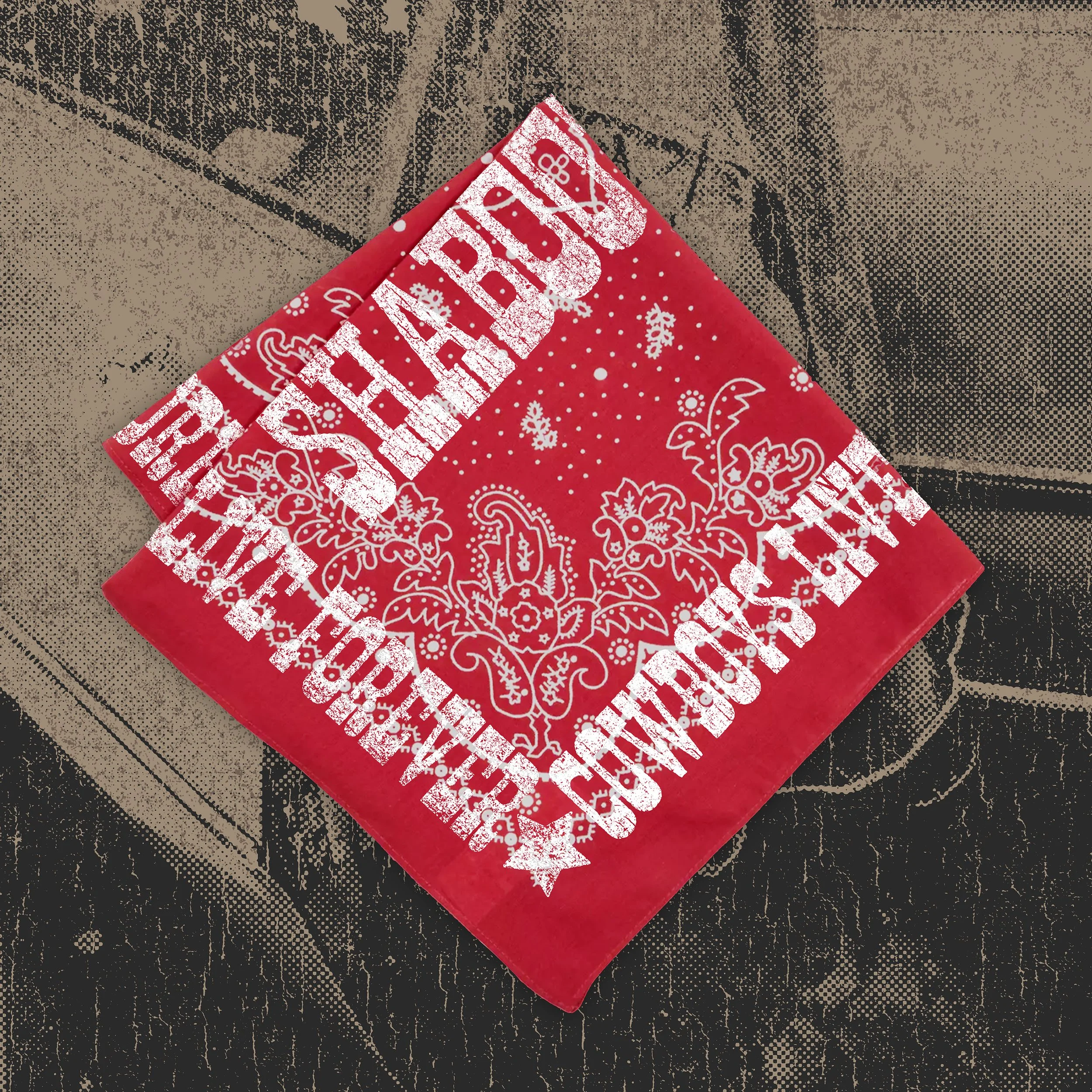 LEVIS_FOR_WEB_3.jpg