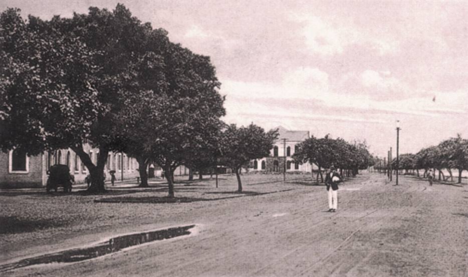 Campo de Dom Manoel (Campal) planted c. 1829