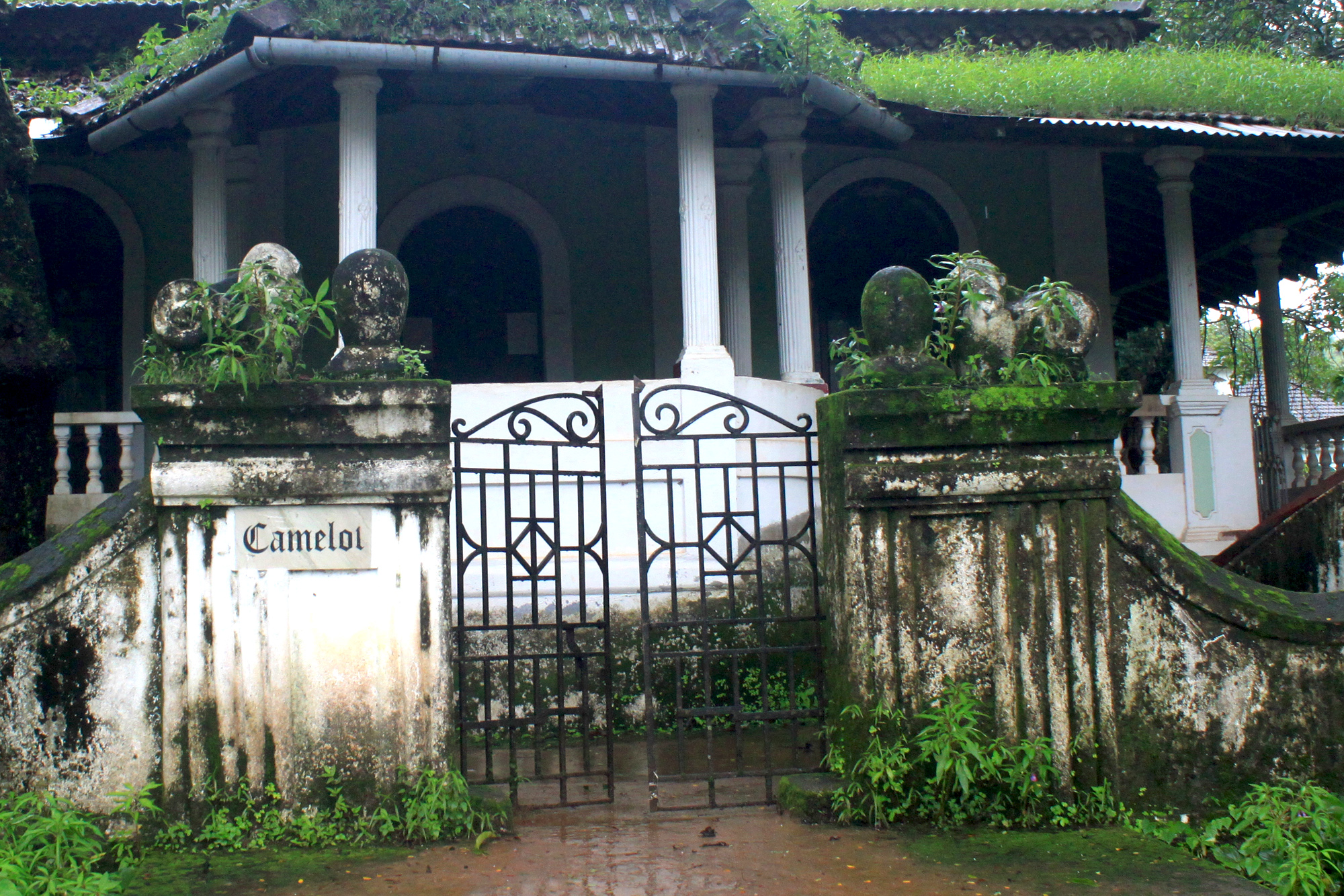 chorao17.jpg