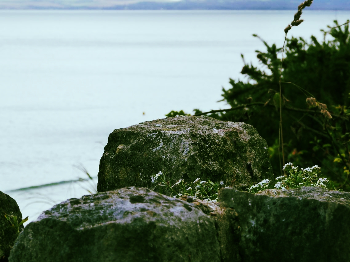 Two Poems: The Sea Knows the Itinerary of Pain