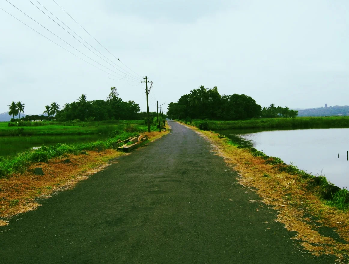 Three Haibuns: Unlost