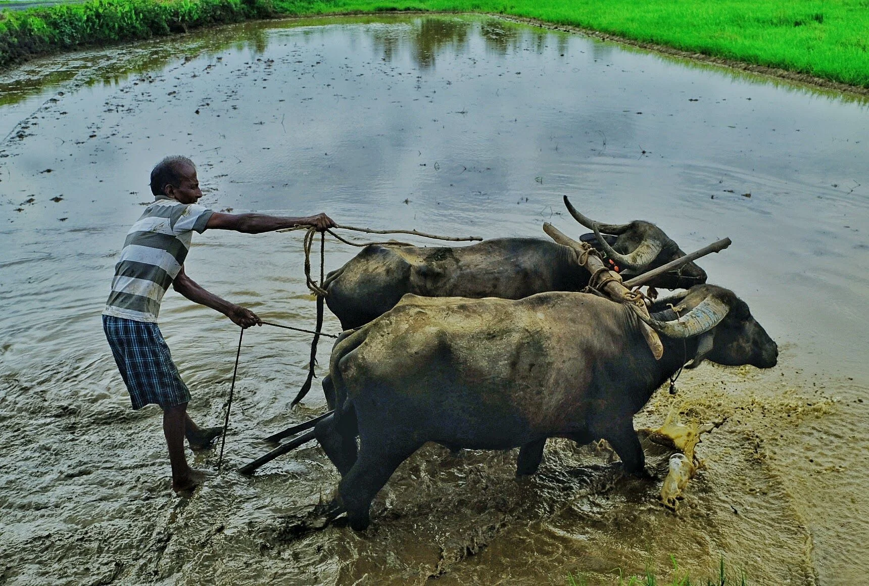 Documentary: Vince Costa talks Saxtticho Koddo