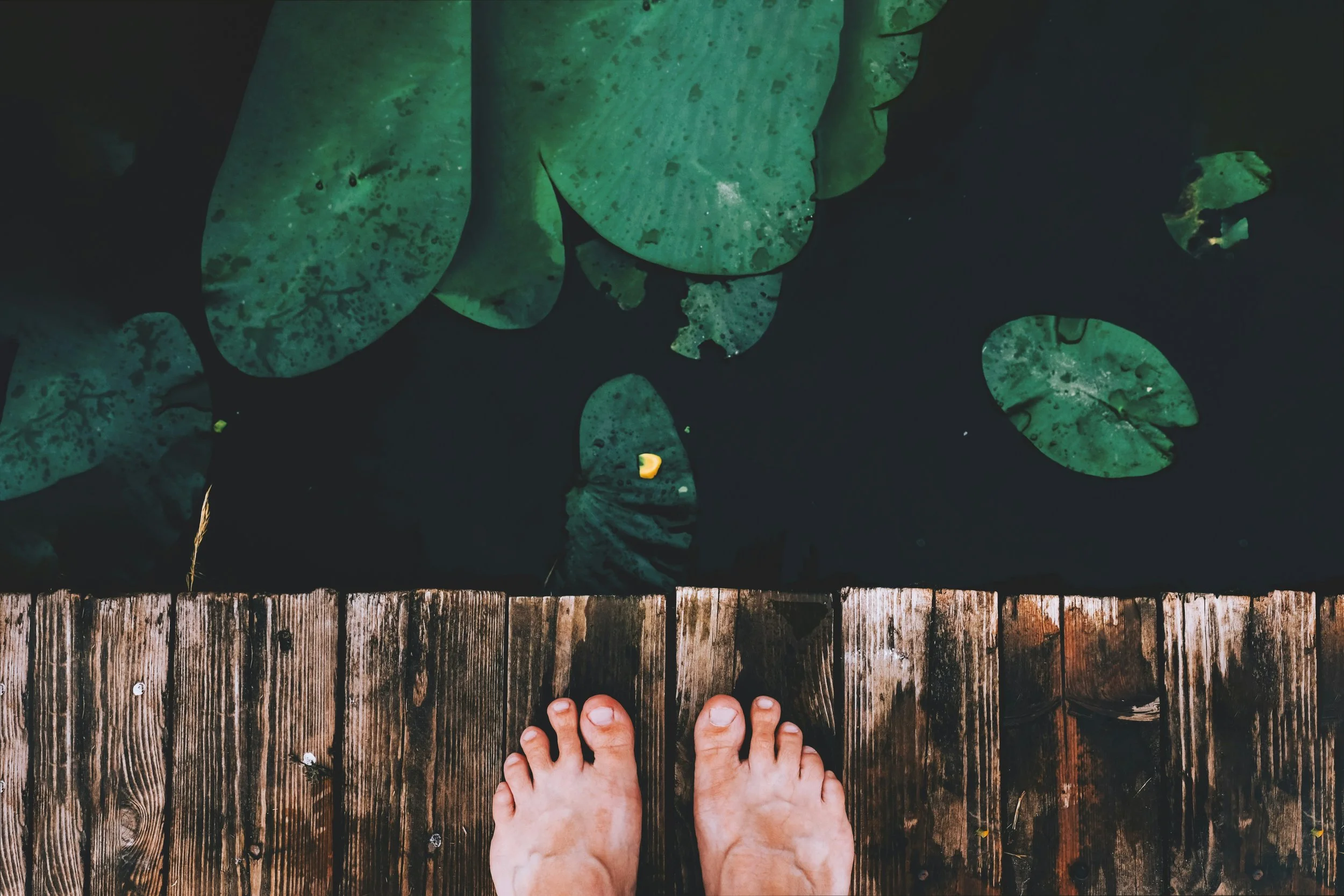 Almost Murder - Finalist in the JRLJ Writing Contest 2026