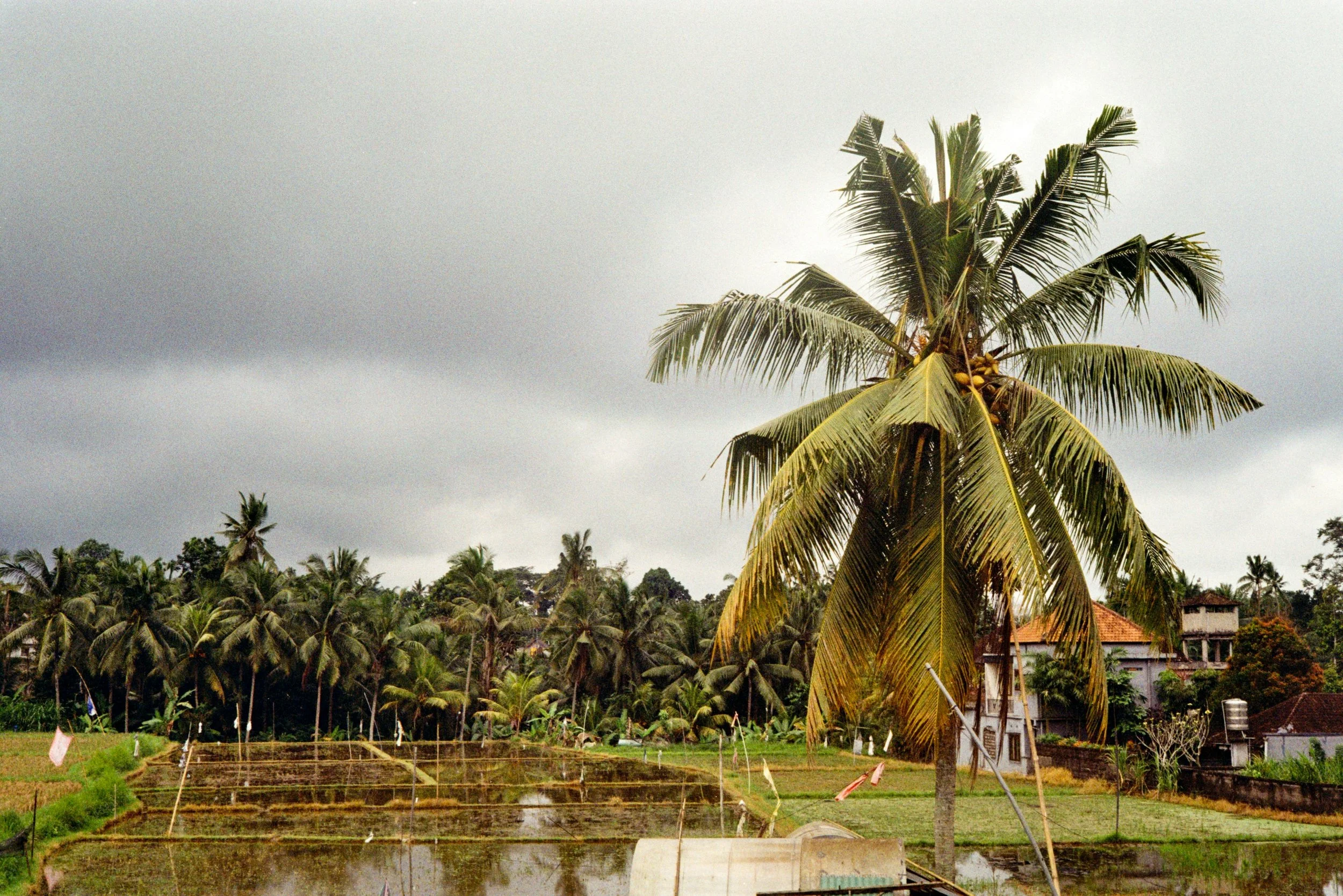 Childhood Monsoon Memories