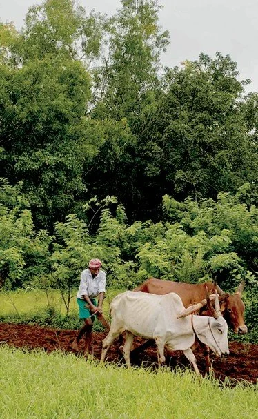 Heta plough.jpg