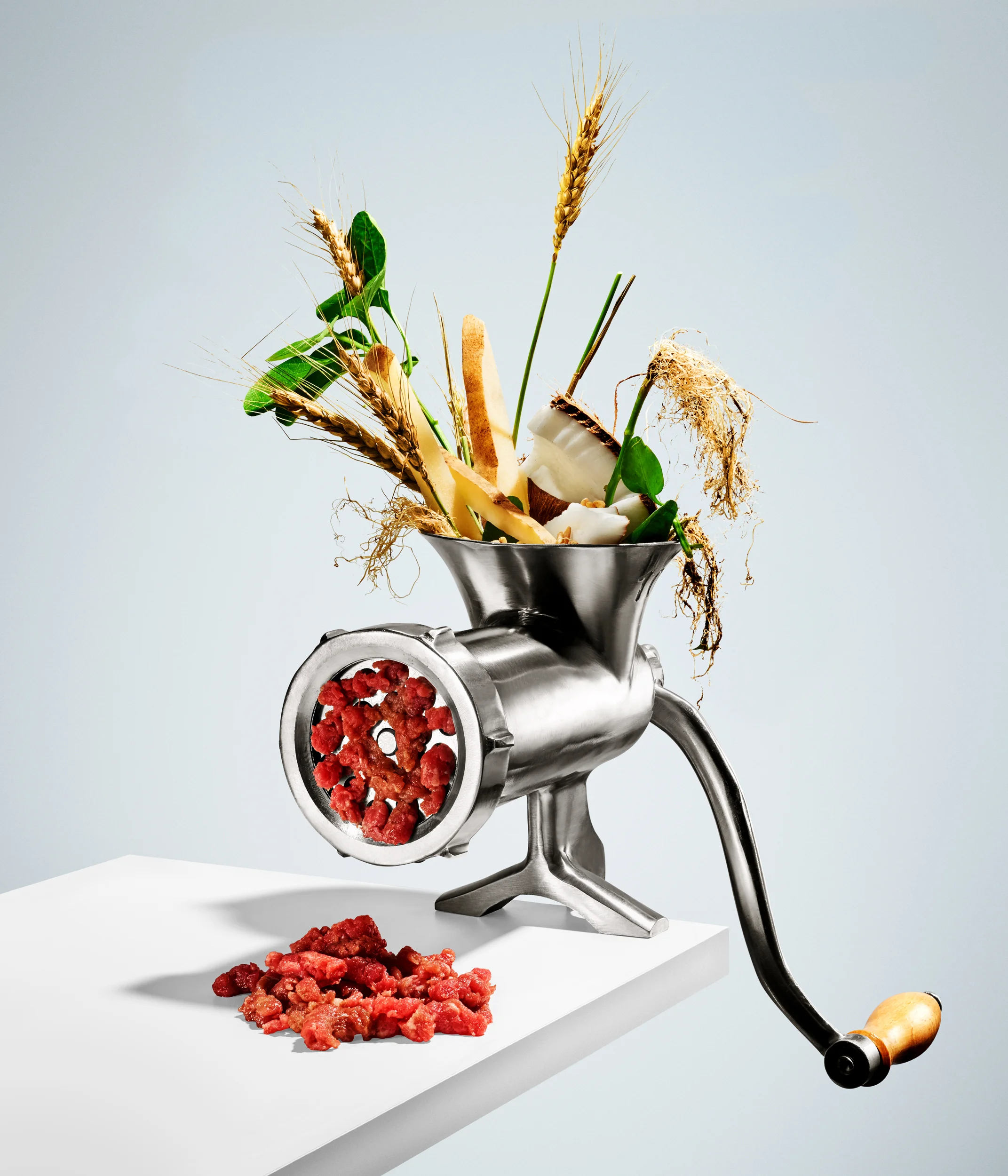 06_meat_grinder_veg-into-meat.jpg