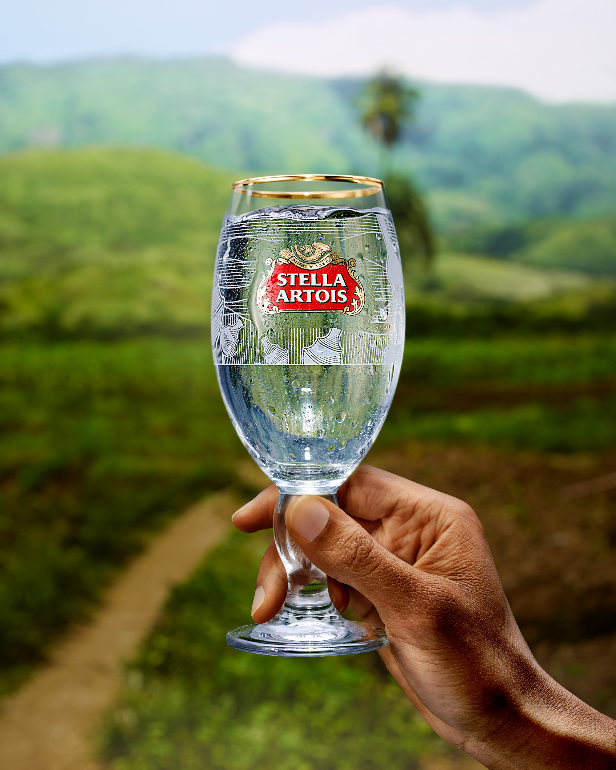 04_stella_kaplan_viewfrommychalice_man_condensation.jpg