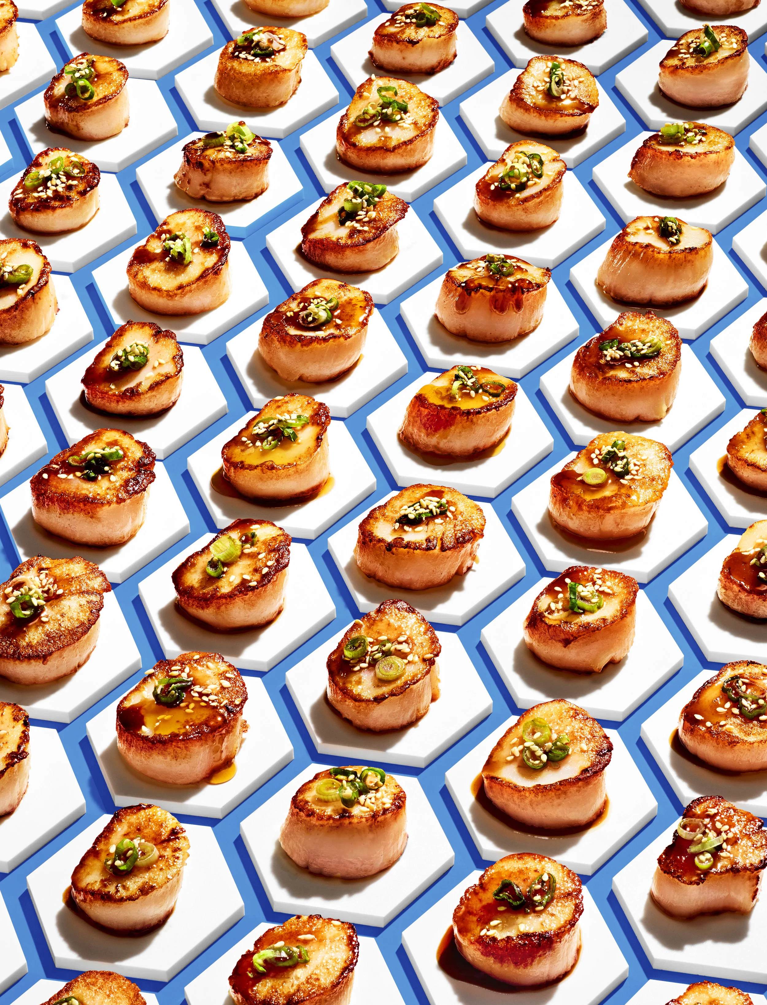 scallops_main_blue.jpg