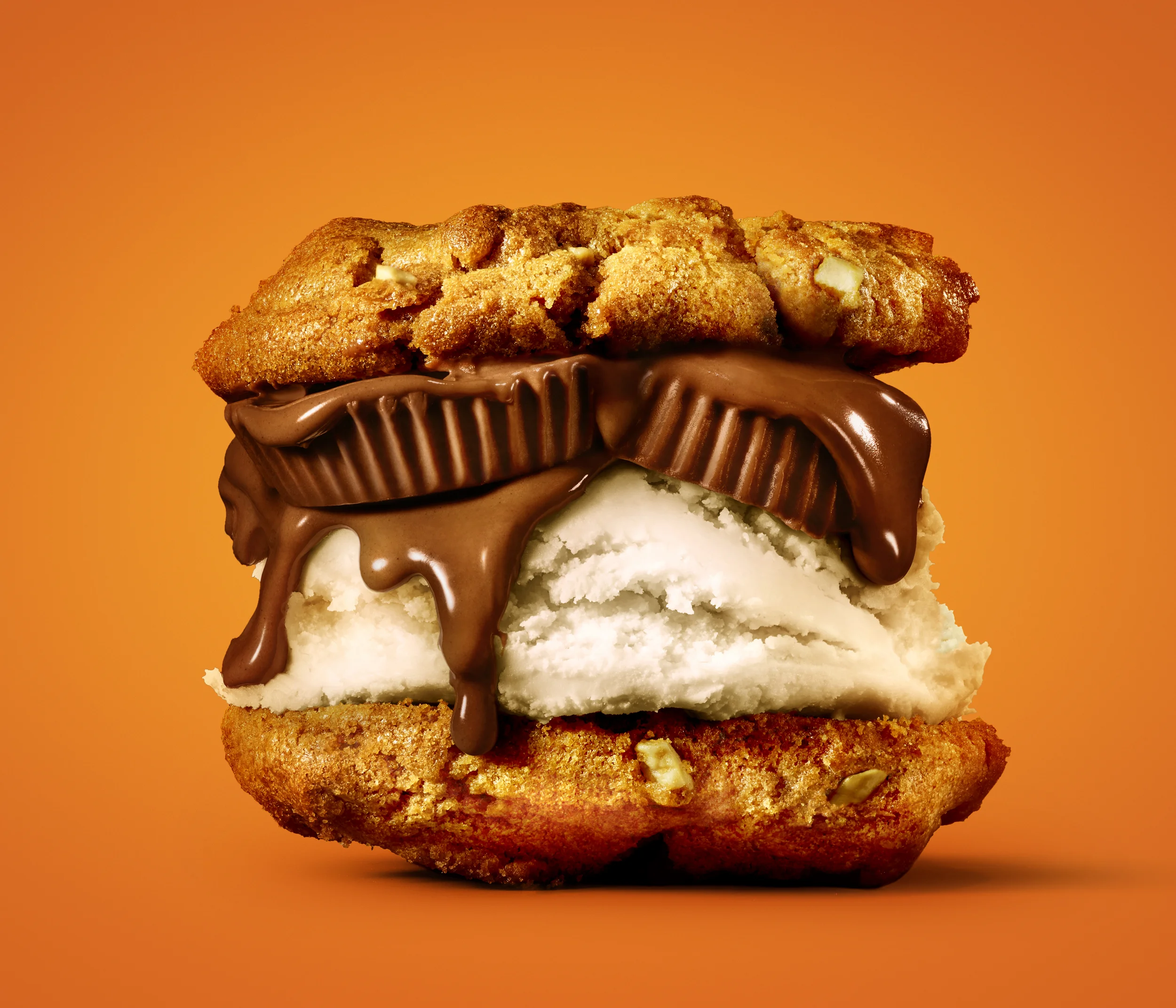 shot02_icewich_crave_d.jpg