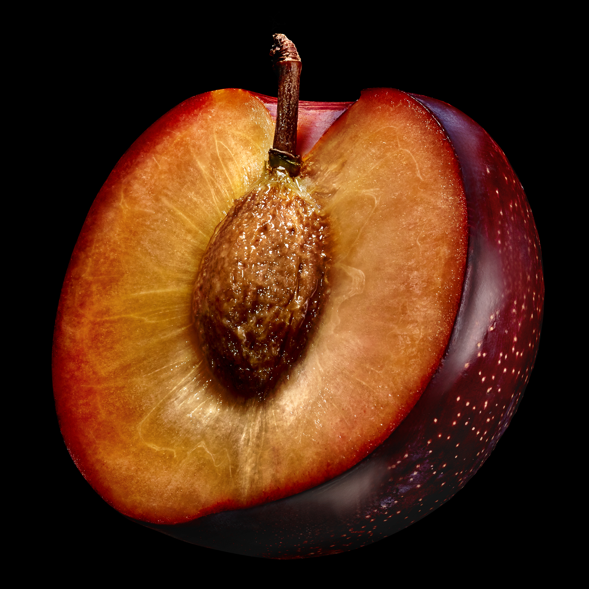 02_set_a_tn_plum_v1_layers.jpg