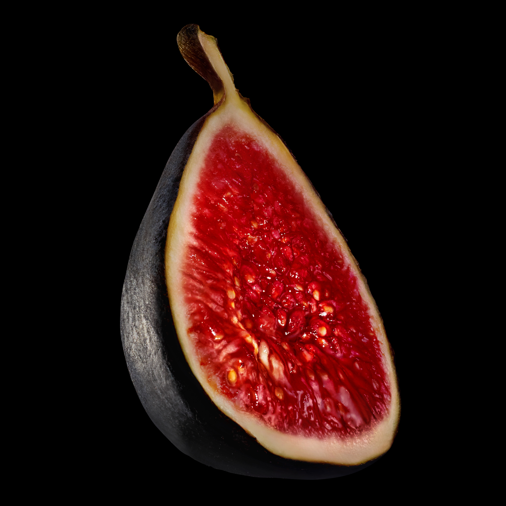 06_set_a_tn_fig_layers.jpg