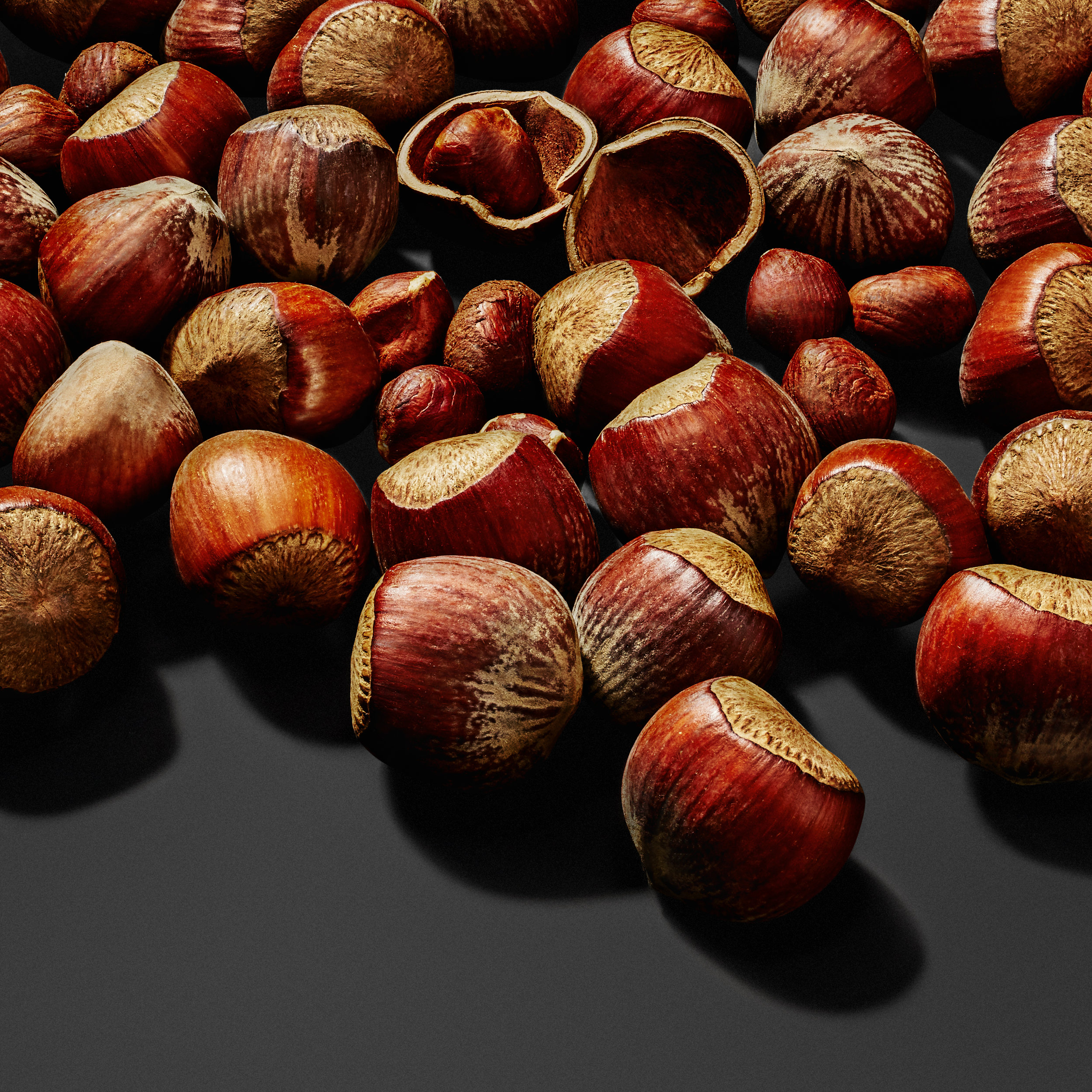 12_set_a_tn_hazelnut_layers.jpg