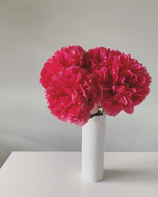 ORDER YOUR PEONIE BOUQUET 💘 ⠀
⠀
omdat we allemaal van pioenen houden kan je nu naast onze standaard boeketten ook een boeket pioenen bestellen op www.studioblomma.be/boekboeket ⠀
#linkinbio⠀
⠀
levering op vrijdag 22.05 ! plaatsen zijn beperkt ! ⠀
⠀
