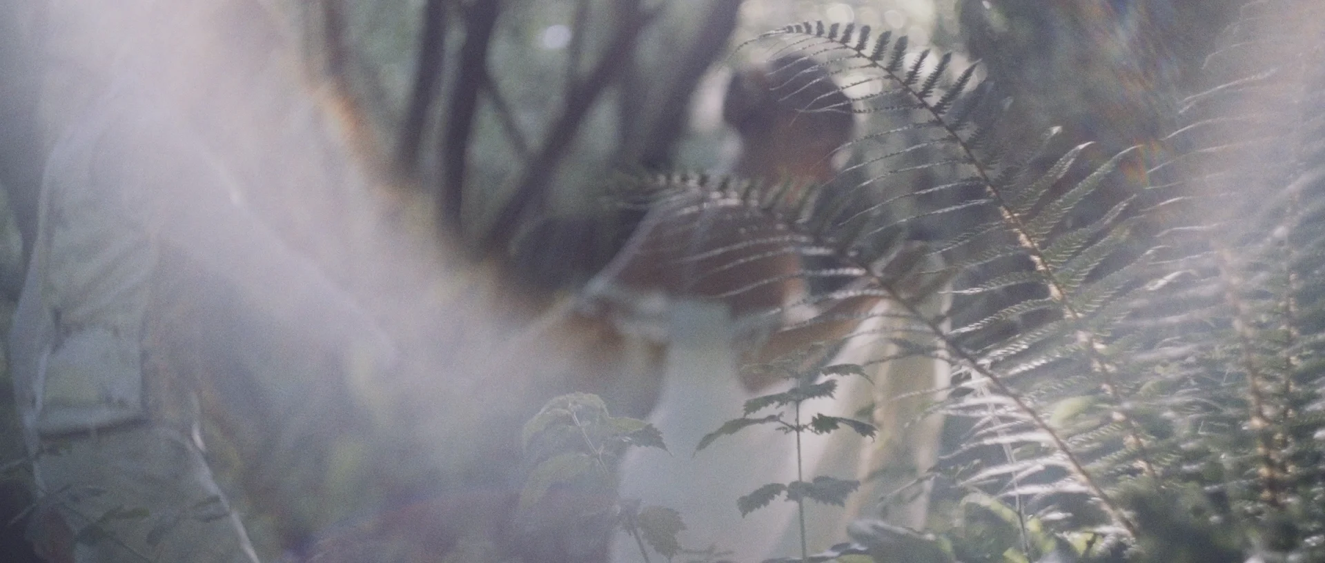 wedding+videographer+destination+cornwall+uk