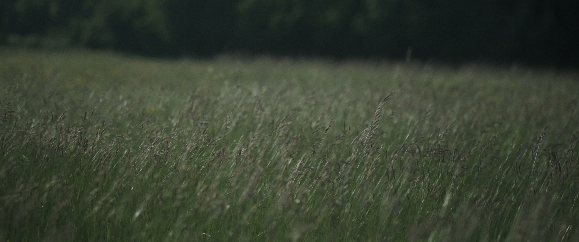 moon+river+wedding+films+cripps+barn+cotswolds+wedding