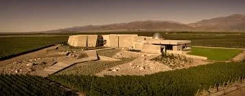 FREE TASTING: Zuccardi with Leandro Lowi