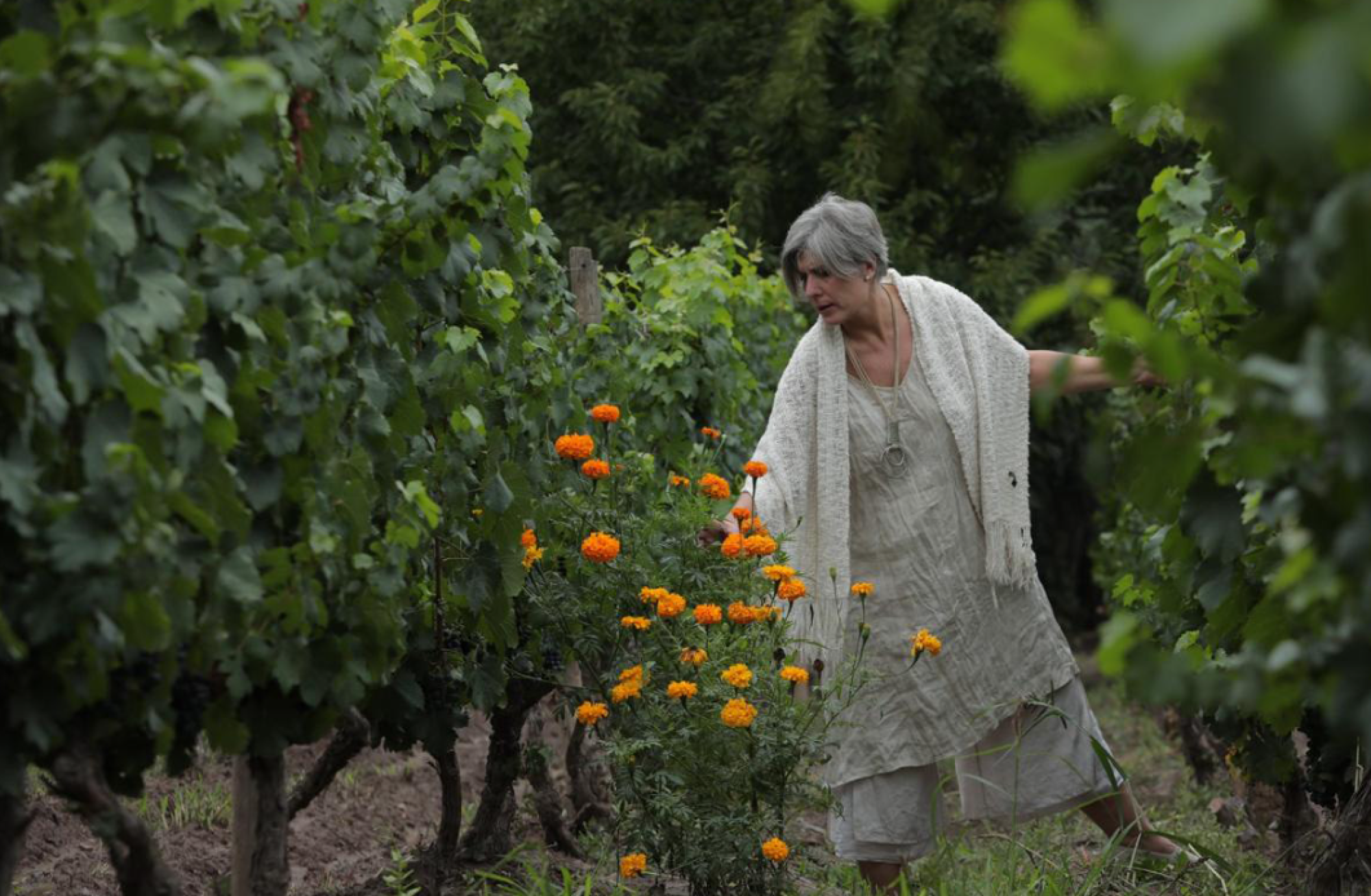 Wine Tasting: Daughters