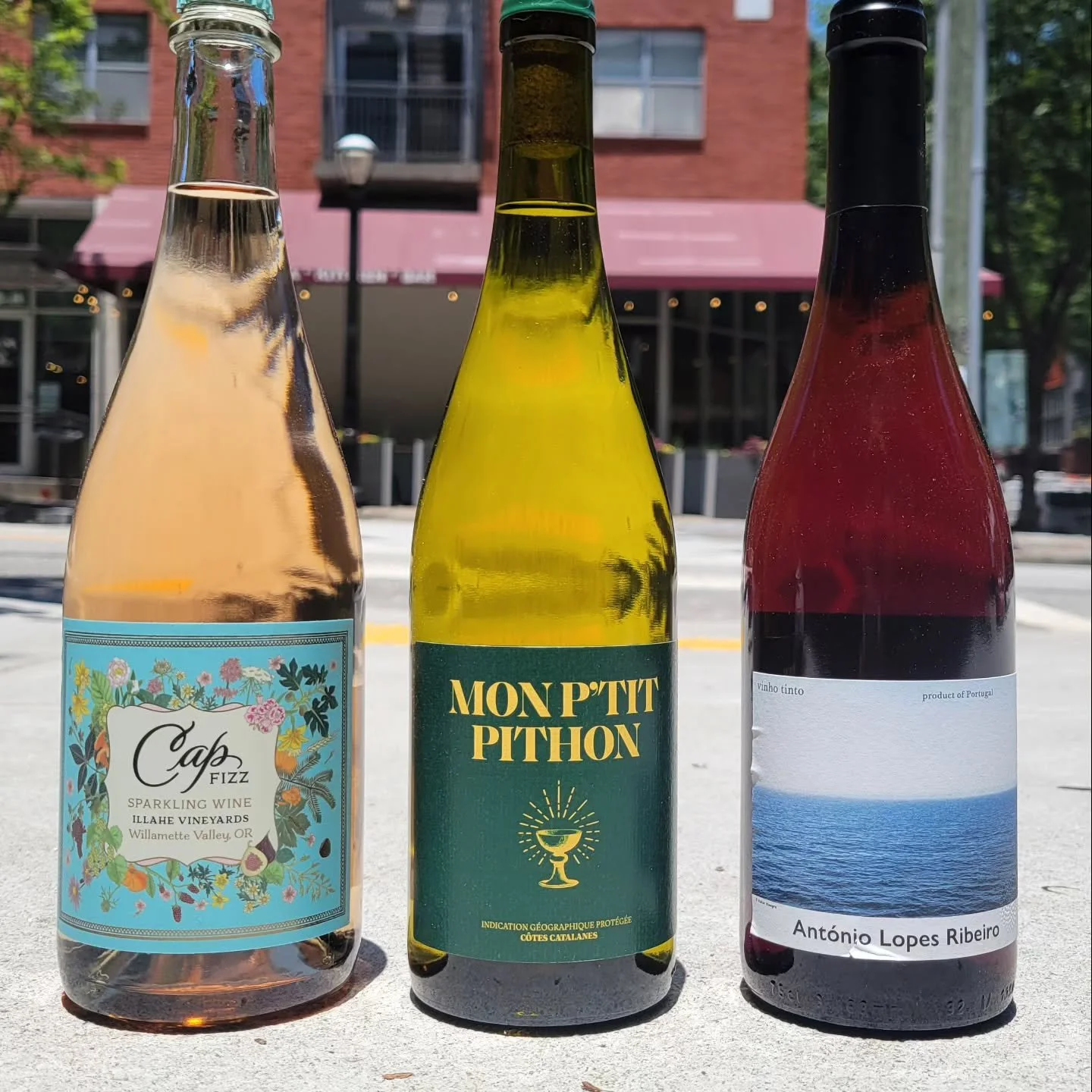 🧀🍷🐶Happy birthday, Rachel!! 🧀🍷🐶

It is another VinoTeca Birthday!  This week, celebrate Rachel&rsquo;s birthday with an evening of well-thought-out wines curated for their ability to complement her one true love - CHEESE! Although T-Swift, Two 