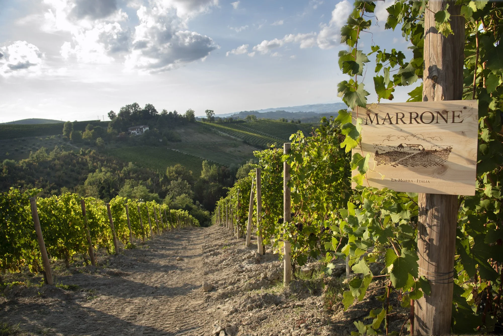 Special Event:  Agricola Marrone Tasting