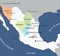 Wine Tasting: Mexico Uncorked