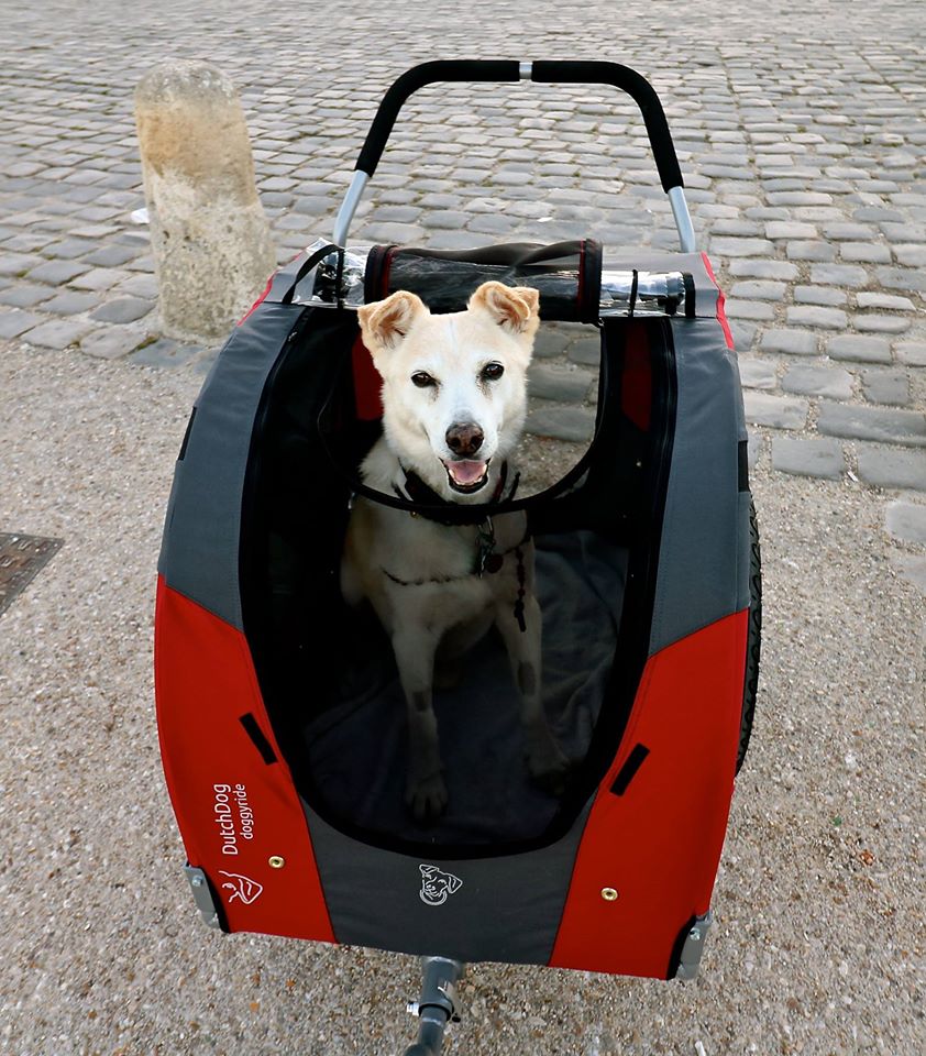 Ralph stroller.jpg