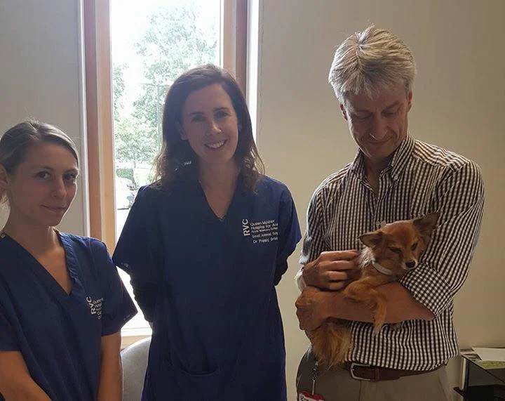 Dr. Dan Brockman (right) with one of his recent patients, Rocco. With him, Poppy Bristow (center) and Ilaria Spalla (left)