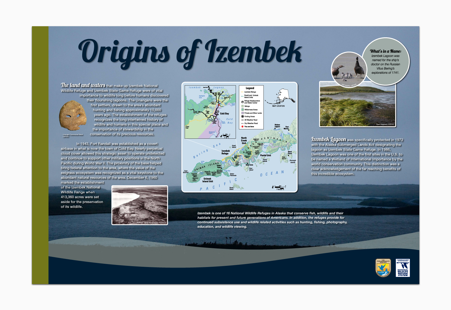 Fossil_Izembek5_AliciaRecco.jpg